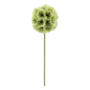 fleur étoilée verte.1