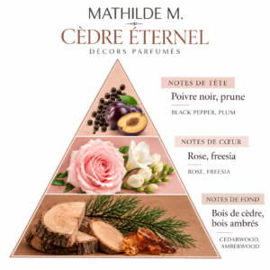 pyramide cedre eternel pyramide cedre eternel