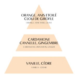 parfum d ambiance rubans de fete 90ml orange cannelle (1)